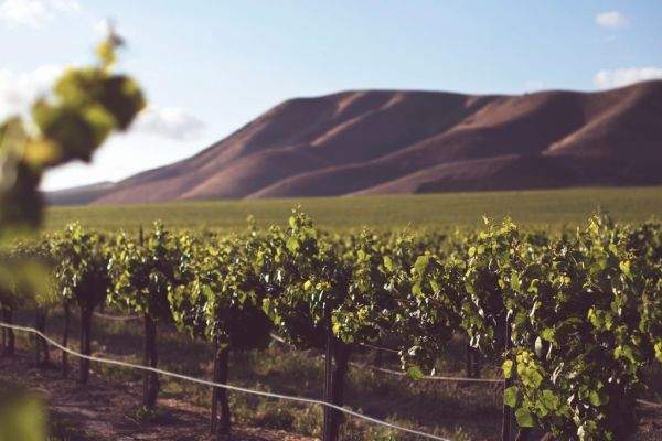 Organiser votre déménagement dans le Rhône